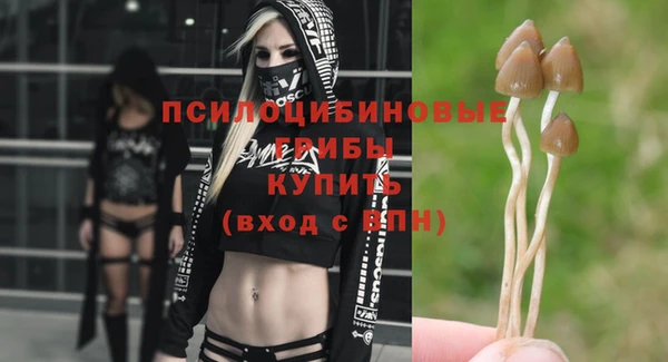 прущая мука Арсеньев