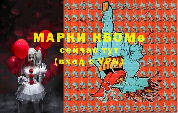 шишки Аркадак