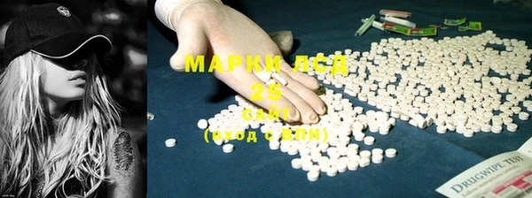 шишки Аркадак