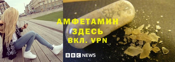 шишки Аркадак